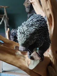 カワスイ 川崎⽔族館に投稿された画像（2026/4/28）