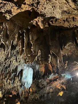 CAVE OKINAWAに投稿された画像（2026/4/28）