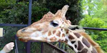 ANIMAL WONDER REZOURT 市原ぞうの国・サユリワールドに投稿された画像（2026/4/28）