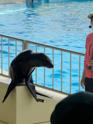 マリンワールド海の中道に投稿された画像（2026/4/28）