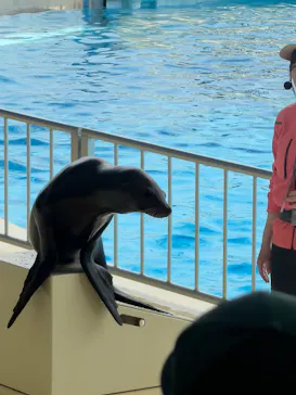 マリンワールド海の中道に投稿された画像（2026/4/28）