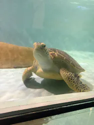 マリンワールド海の中道に投稿された画像（2026/4/28）