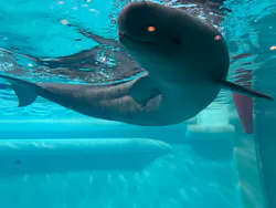 マリンワールド海の中道に投稿された画像（2026/4/28）