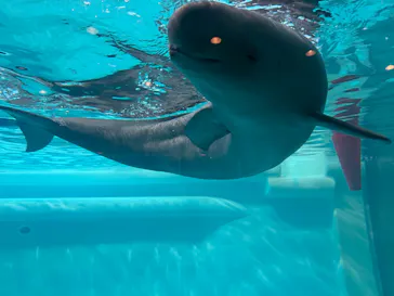マリンワールド海の中道に投稿された画像（2026/4/28）