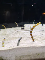 京都水族館に投稿された画像（2026/4/28）