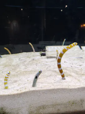 京都水族館に投稿された画像（2026/4/28）