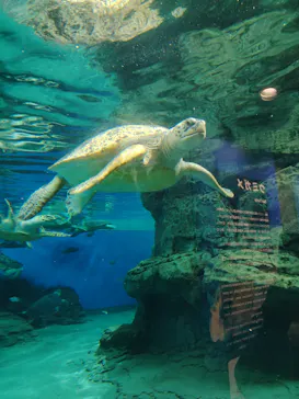 名古屋港水族館に投稿された画像（2026/4/28）