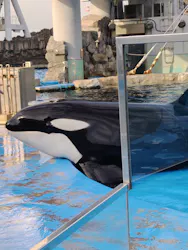 名古屋港水族館に投稿された画像（2026/4/28）