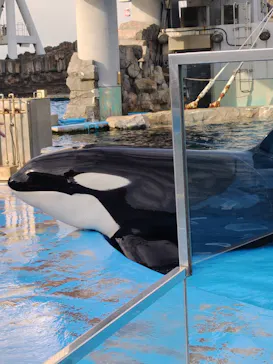 名古屋港水族館に投稿された画像（2026/4/28）