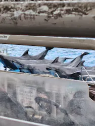 名古屋港水族館に投稿された画像（2026/4/28）