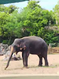 天王寺動物園に投稿された画像（2026/4/28）