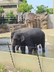 天王寺動物園に投稿された画像（2026/4/28）