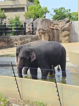 天王寺動物園に投稿された画像（2026/4/28）