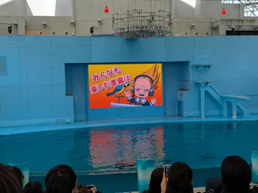 横浜・八景島シーパラダイスに投稿された画像（2026/4/28）
