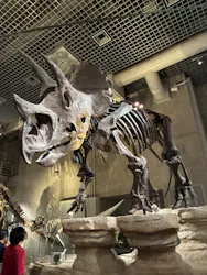 国立科学博物館に投稿された画像（2026/4/28）