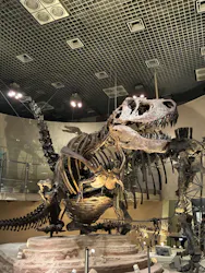 国立科学博物館に投稿された画像（2026/4/28）