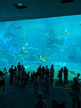沖縄美ら海水族館に投稿された画像（2026/4/28）