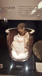 国立科学博物館に投稿された画像（2026/4/28）