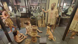 国立科学博物館に投稿された画像（2026/4/28）