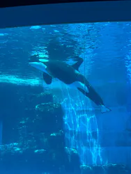 名古屋港水族館に投稿された画像（2026/4/28）