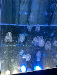 名古屋港水族館に投稿された画像（2026/4/28）