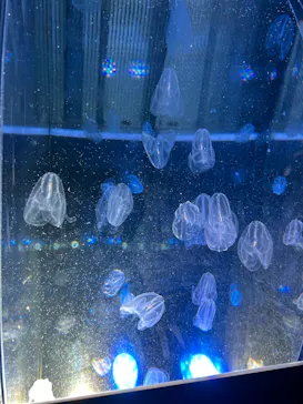 名古屋港水族館に投稿された画像（2026/4/28）