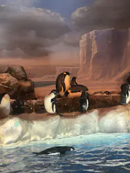 名古屋港水族館に投稿された画像（2026/4/28）