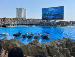 名古屋港水族館に投稿された画像（2026/4/28）