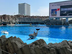 名古屋港水族館に投稿された画像（2026/4/28）