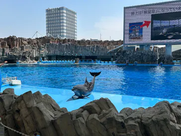 名古屋港水族館に投稿された画像（2026/4/28）