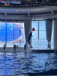 アクアワールド茨城県大洗水族館に投稿された画像（2026/4/29）