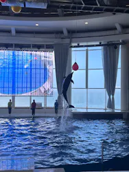 アクアワールド茨城県大洗水族館に投稿された画像（2026/4/28）