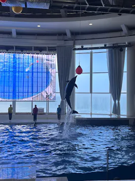 アクアワールド茨城県大洗水族館に投稿された画像（2026/4/28）