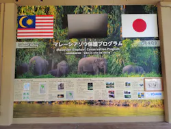 天王寺動物園に投稿された画像（2026/4/28）