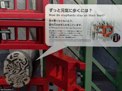 天王寺動物園に投稿された画像（2026/4/28）