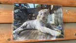 宇都宮動物園に投稿された画像（2026/4/29）