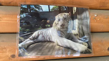 宇都宮動物園に投稿された画像（2026/4/29）