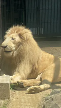 宇都宮動物園に投稿された画像（2026/4/29）
