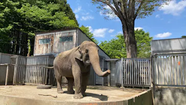 宇都宮動物園に投稿された画像（2026/4/29）