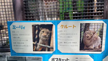 宇都宮動物園に投稿された画像（2026/4/29）