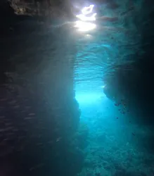 武藤潜水に投稿された画像（2026/4/29）