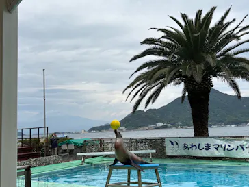 あわしまマリンパークに投稿された画像（2026/4/29）