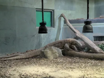 名古屋市東山動植物園に投稿された画像（2026/4/29）