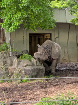 名古屋市東山動植物園に投稿された画像（2026/4/29）