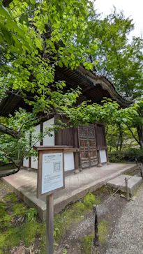 三溪園に投稿された画像（2026/4/29）