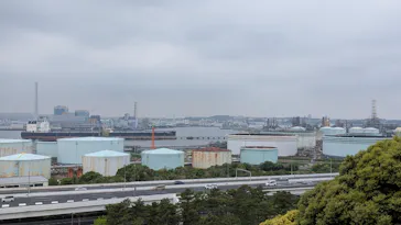 三溪園に投稿された画像（2026/4/29）