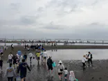 牛込海岸潮干狩りに投稿された画像（2026/4/29）