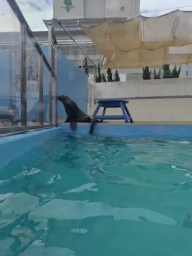 竹島水族館に投稿された画像（2026/4/29）