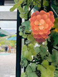 箱根ガラスの森美術館に投稿された画像（2026/4/29）