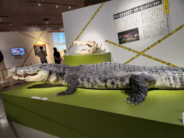 特別展「超危険生物展　科学で挑む生き物の本気」に投稿された画像（2026/4/29）